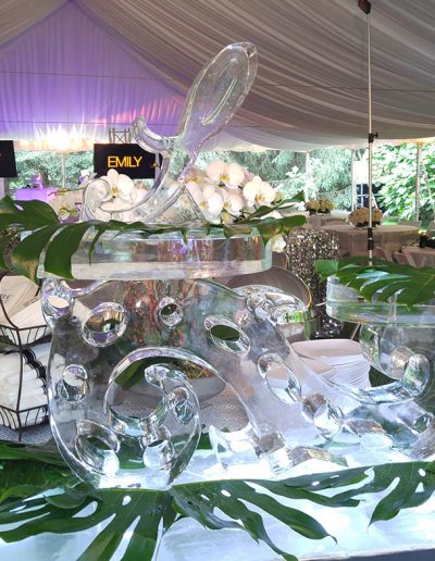 ice molds, ice sculptor, ice scupltures, wedding centerpieces, wedding ice, ice  carving for weddings, buffet centerpiece, high class buffets, graduation  ideas, graduation banquet, banquet ice, ice buffets, BANQUET hall, catering  events, catering